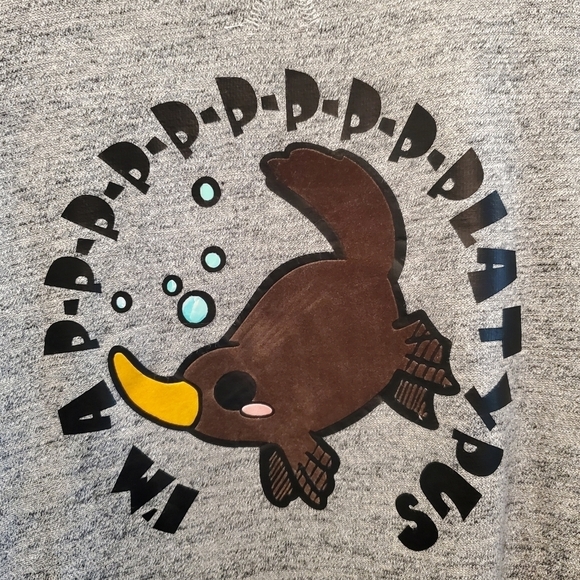 Original weatherproof vintage sz med grey sweatshirt. With platypus - Picture 2 of 8
